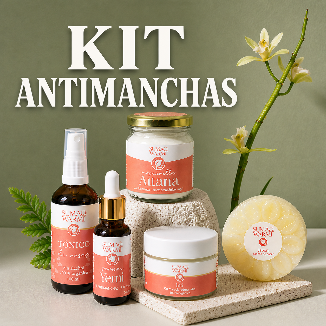 Kit Antimanchas 1